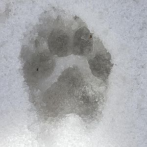 Meet your Posher, Teri n dean